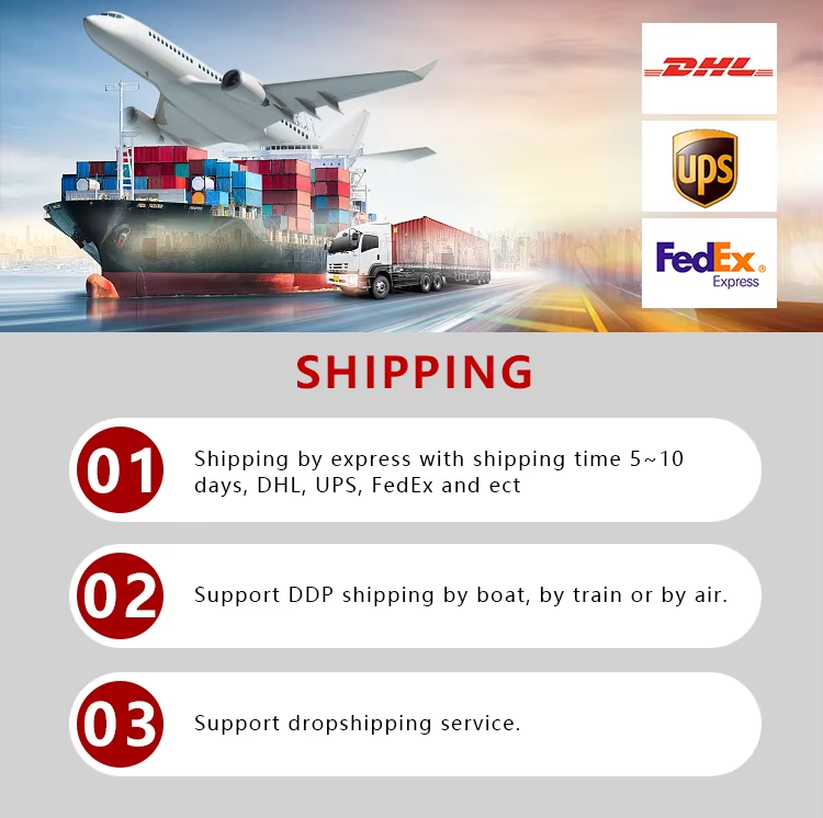 High Quality Custom Men's Stainless Steel Automatic Wristwatch Sapphire Case Dial Glass Luxury Wholesale Mechanical Watches