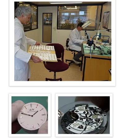 High Quality Custom Men's Stainless Steel Automatic Wristwatch Sapphire Case Dial Glass Luxury Wholesale Mechanical Watches